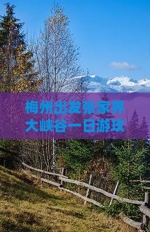 梅州出发张家界大峡谷一日游攻略与行程安排