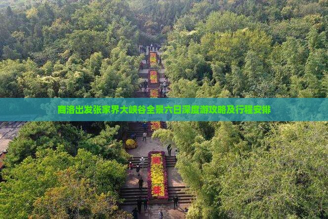 商洛出发张家界大峡谷全景六日深度游攻略及行程安排