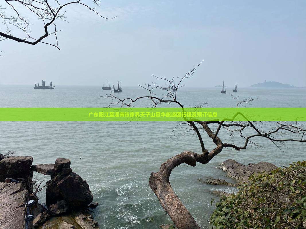 广东阳江至湖南张家界天子山豪华旅游团行程及预订信息