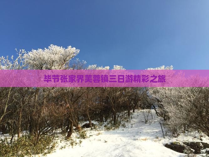 毕节张家界芙蓉镇三日游精彩之旅