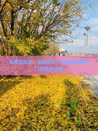 石家庄出发：张家界天门山旅游攻略与门票路线详解