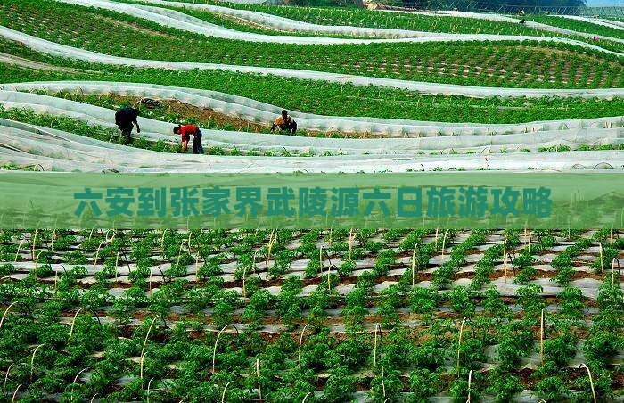 六安到张家界武陵源六日旅游攻略