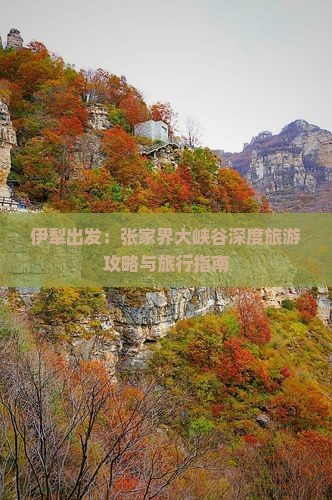 伊犁出发：张家界大峡谷深度旅游攻略与旅行指南