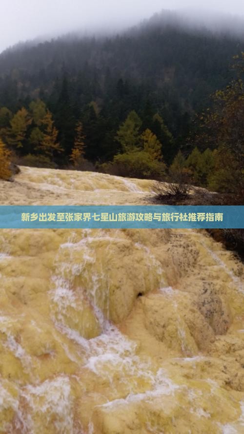 新乡出发至张家界七星山旅游攻略与旅行社推荐指南