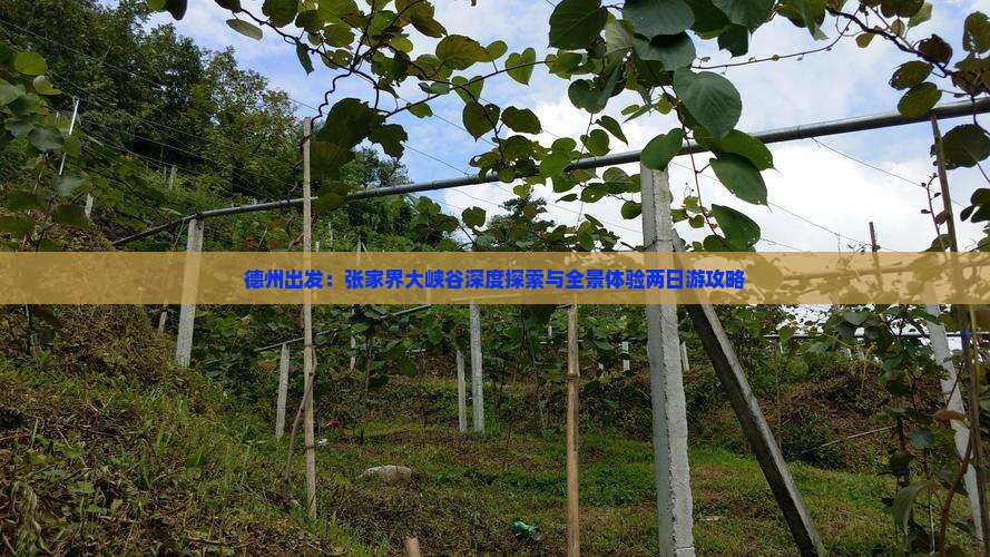 德州出发：张家界大峡谷深度探索与全景体验两日游攻略