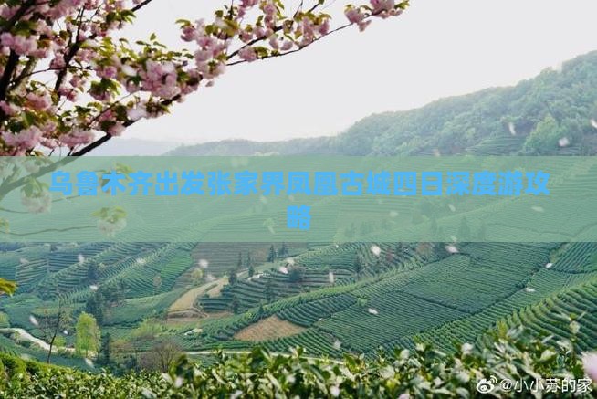 乌鲁木齐出发张家界凤凰古城四日深度游攻略