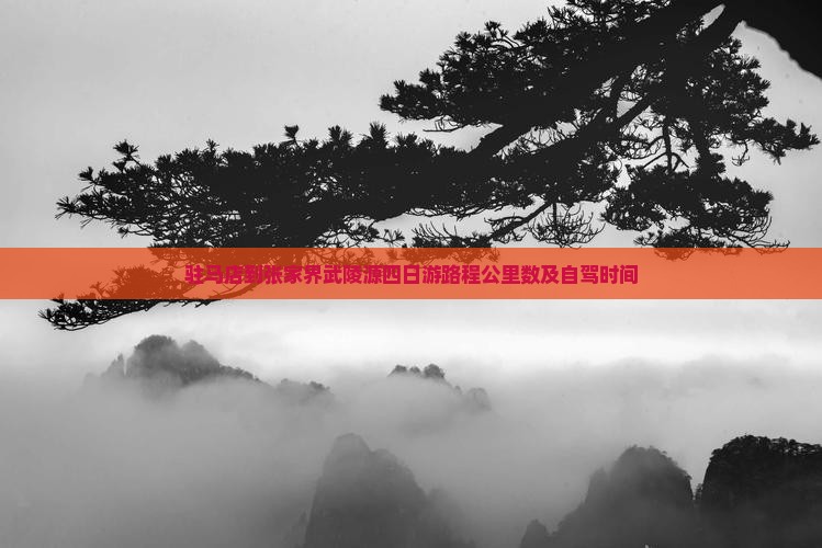 驻马店到张家界武陵源四日游路程公里数及自驾时间