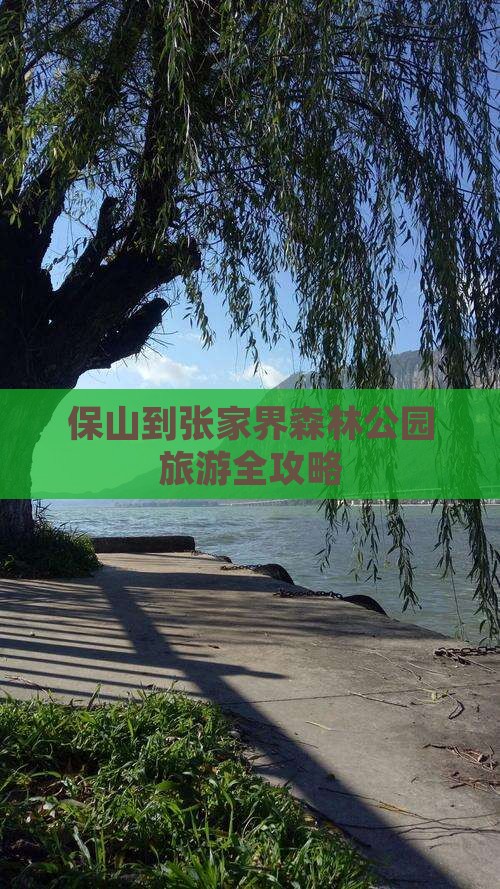 保山到张家界森林公园旅游全攻略