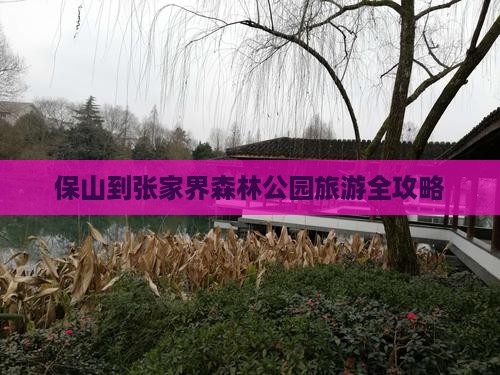 保山到张家界森林公园旅游全攻略