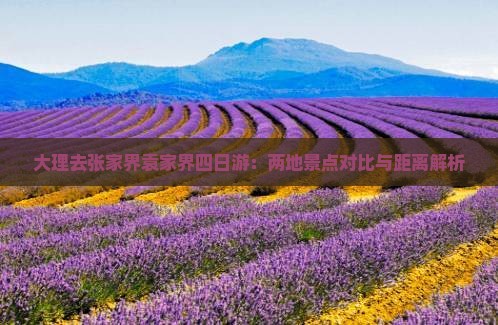 大理去张家界袁家界四日游：两地景点对比与距离解析