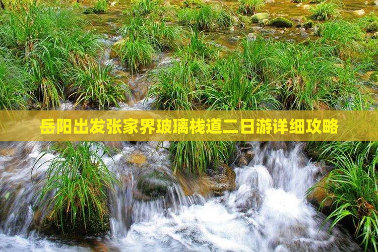 岳阳出发张家界玻璃栈道二日游详细攻略
