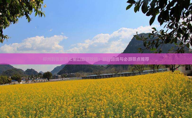 柳州到张家界七星山旅游攻略：旅行路线与必游景点推荐