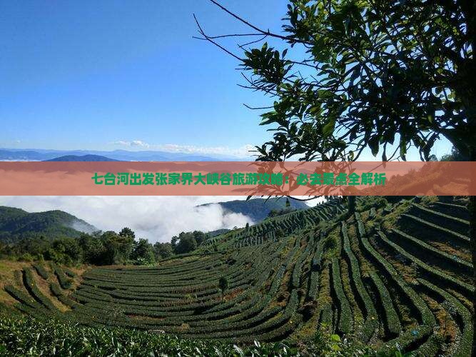 七台河出发张家界大峡谷旅游攻略：必去景点全解析