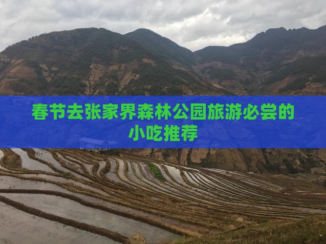 春节去张家界森林公园旅游必尝的小吃推荐