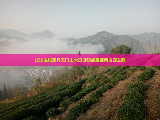 长沙去张家界天门山六日游路线及费用自驾车程