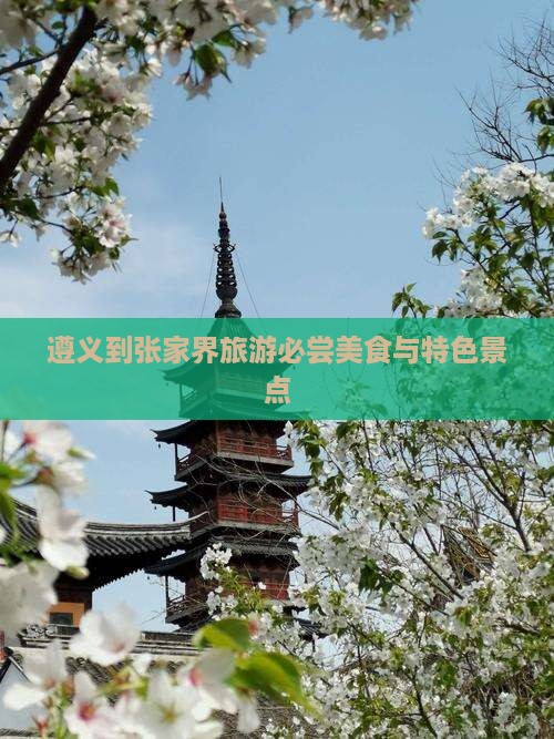 遵义到张家界旅游必尝美食与特色景点