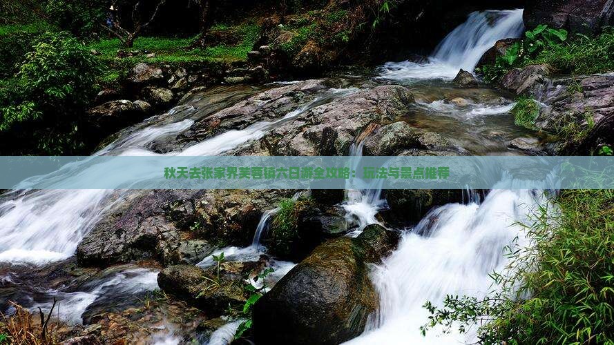 秋天去张家界芙蓉镇六日游全攻略：玩法与景点推荐