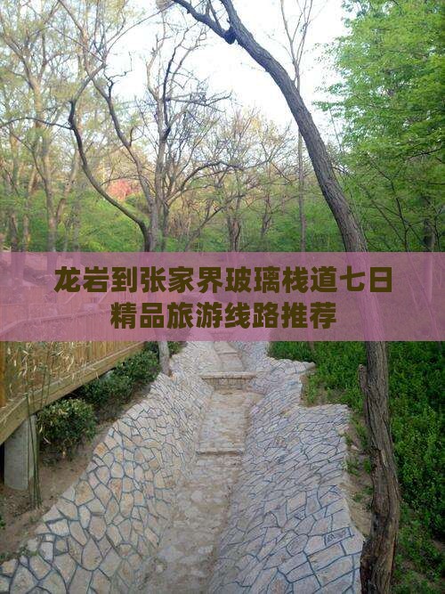 龙岩到张家界玻璃栈道七日精品旅游线路推荐