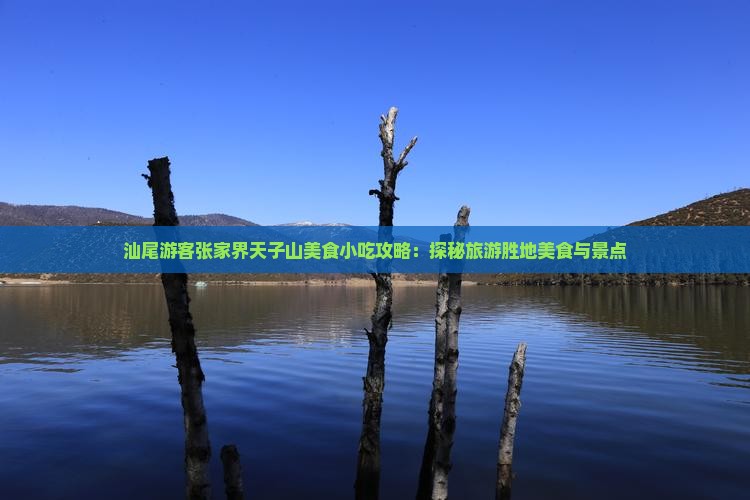 汕尾游客张家界天子山美食小吃攻略：探秘旅游胜地美食与景点
