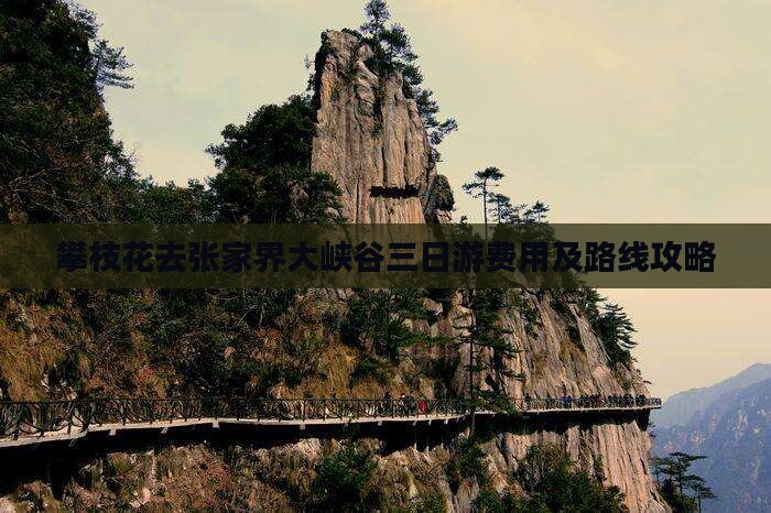 攀枝花去张家界大峡谷三日游费用及路线攻略