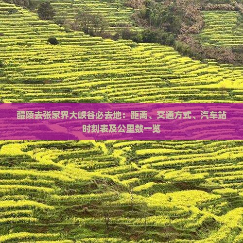 醴陵去张家界大峡谷必去地：距离、交通方式、汽车站时刻表及公里数一览