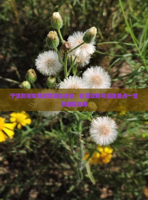 宁波到张家界武陵源必去地：自驾攻略与沿途景点一览及里程指南