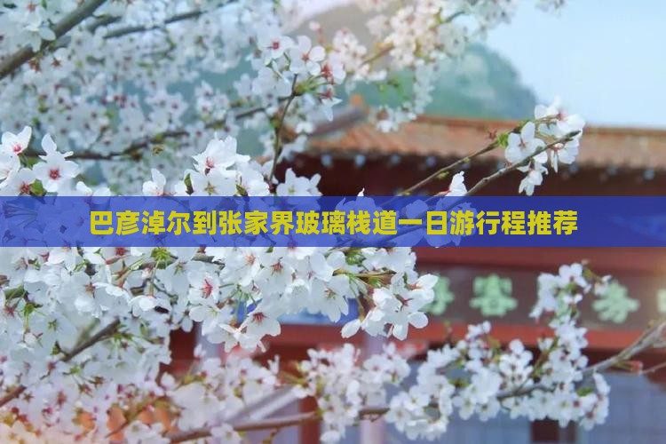 巴彦淖尔到张家界玻璃栈道一日游行程推荐