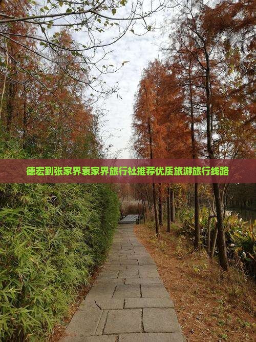 德宏到张家界袁家界旅行社推荐优质旅游旅行线路