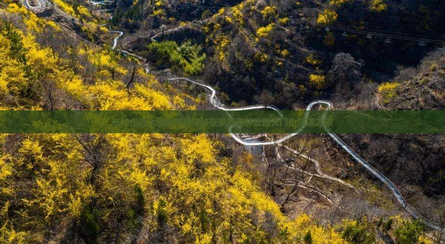 长沙出发大型旅游团探秘张家界森林公园天门山玻璃之旅