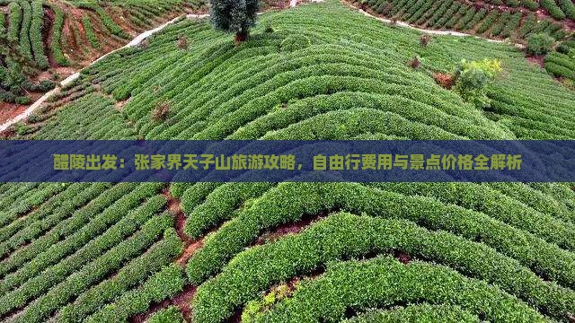 醴陵出发：张家界天子山旅游攻略，自由行费用与景点价格全解析