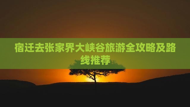 宿迁去张家界大峡谷旅游全攻略及路线推荐