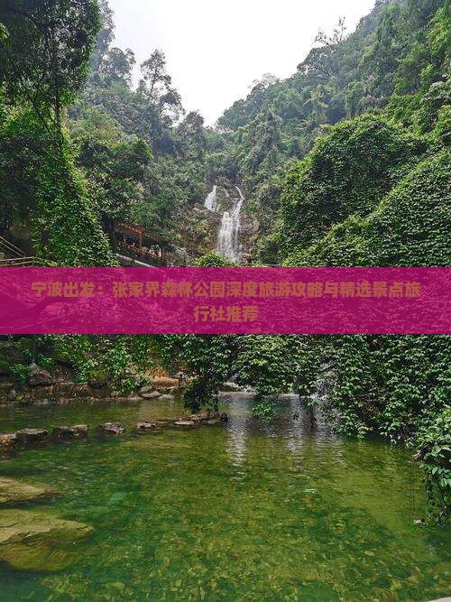 宁波出发：张家界森林公园深度旅游攻略与精选景点旅行社推荐
