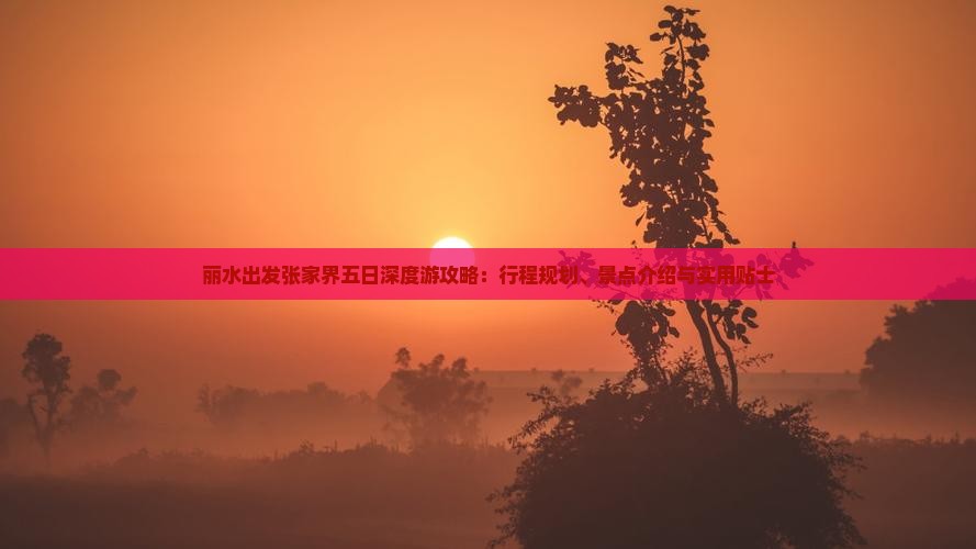 丽水出发张家界五日深度游攻略：行程规划、景点介绍与实用贴士