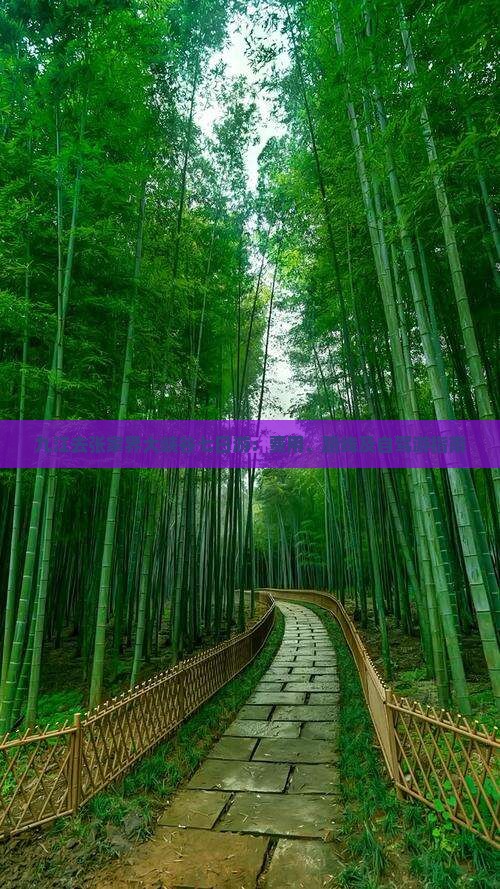 九江去张家界大峡谷七日游：费用、路线及自驾游指南