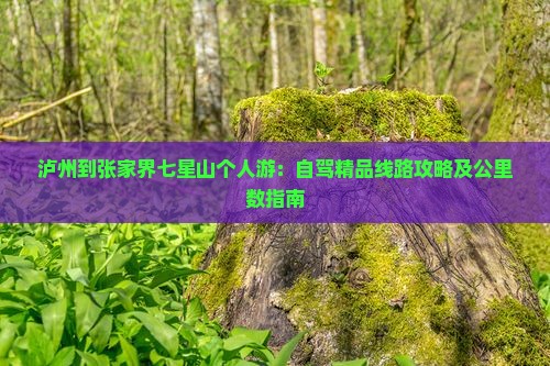 泸州到张家界七星山个人游：自驾精品线路攻略及公里数指南