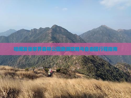 哈闽发张家界森林公园旅游攻略与自由团行程指南