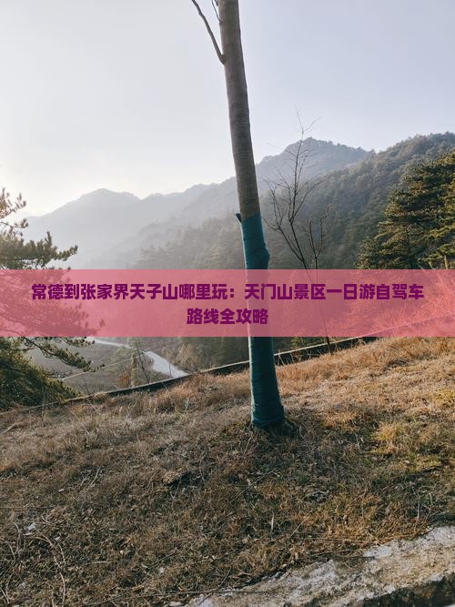 常德到张家界天子山哪里玩：天门山景区一日游自驾车路线全攻略