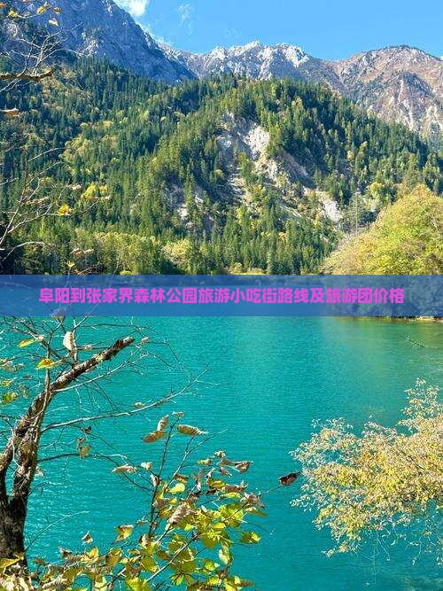 阜阳到张家界森林公园旅游小吃街路线及旅游团价格