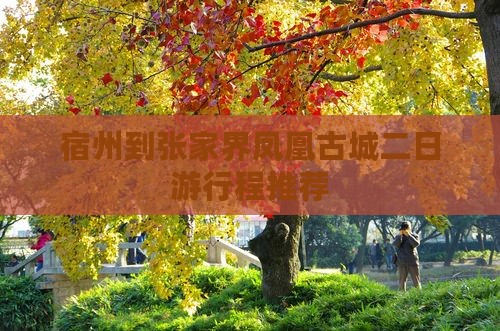 宿州到张家界凤凰古城二日游行程推荐