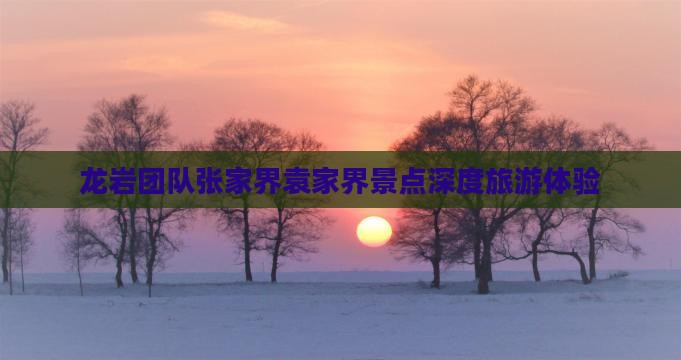 龙岩团队张家界袁家界景点深度旅游体验