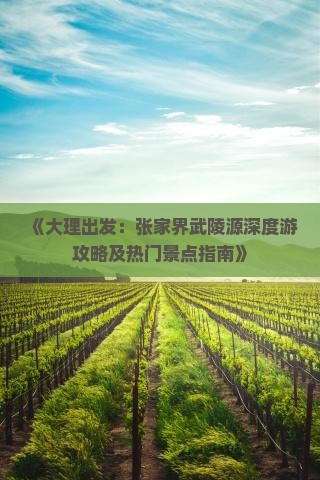 《大理出发：张家界武陵源深度游攻略及热门景点指南》