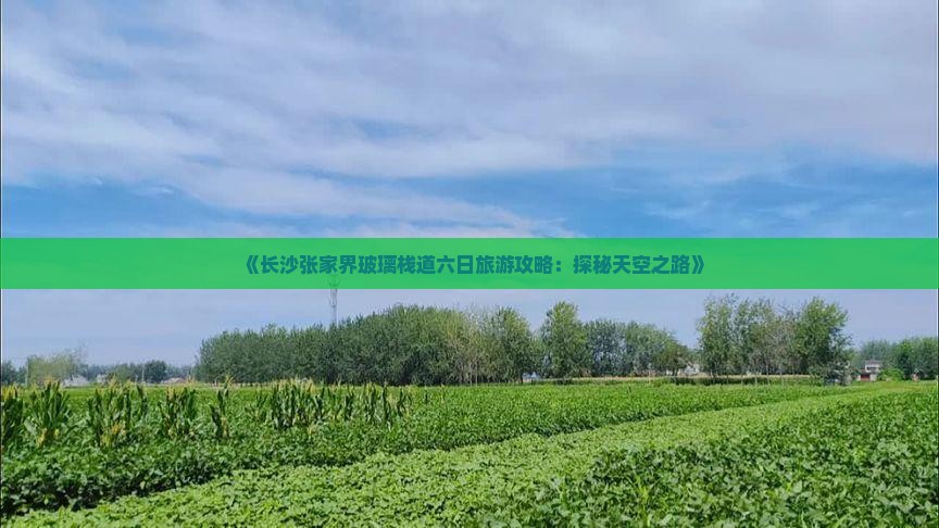 《长沙张家界玻璃栈道六日旅游攻略：探秘天空之路》