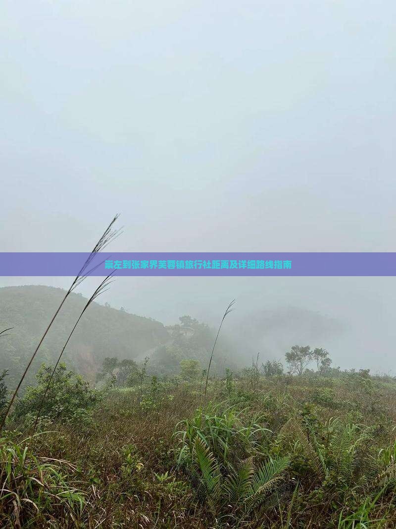 崇左到张家界芙蓉镇旅行社距离及详细路线指南