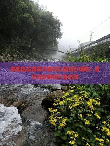 襄阳出发张家界森林公园旅行攻略：旅行社定制旅行全指南