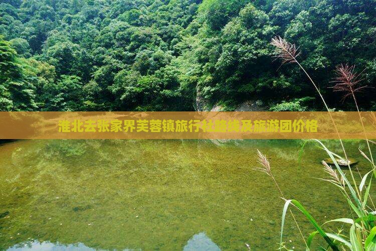淮北去张家界芙蓉镇旅行社路线及旅游团价格