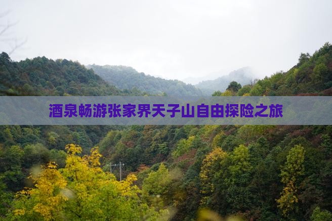 酒泉畅游张家界天子山自由探险之旅