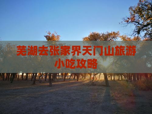 芜湖去张家界天门山旅游小吃攻略