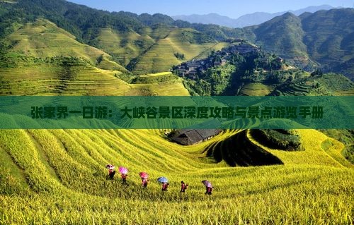 张家界一日游：大峡谷景区深度攻略与景点游览手册