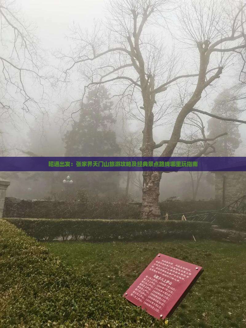 昭通出发：张家界天门山旅游攻略及经典景点路线哪里玩指南