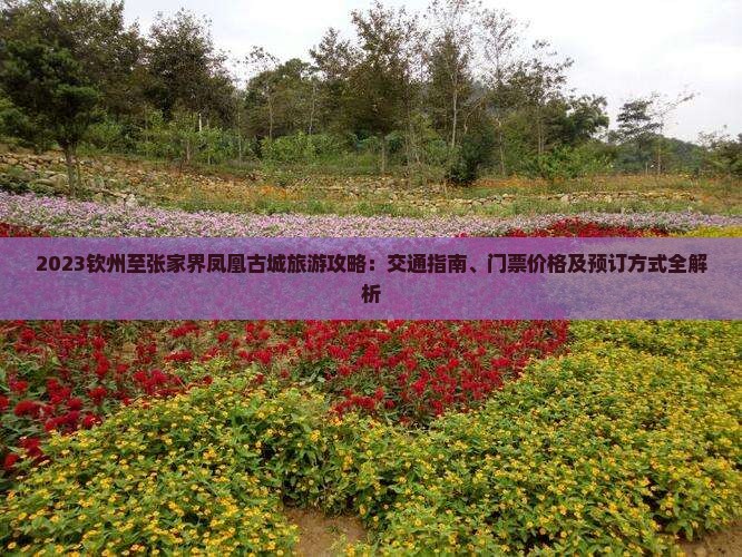 2023钦州至张家界凤凰古城旅游攻略：交通指南、门票价格及预订方式全解析